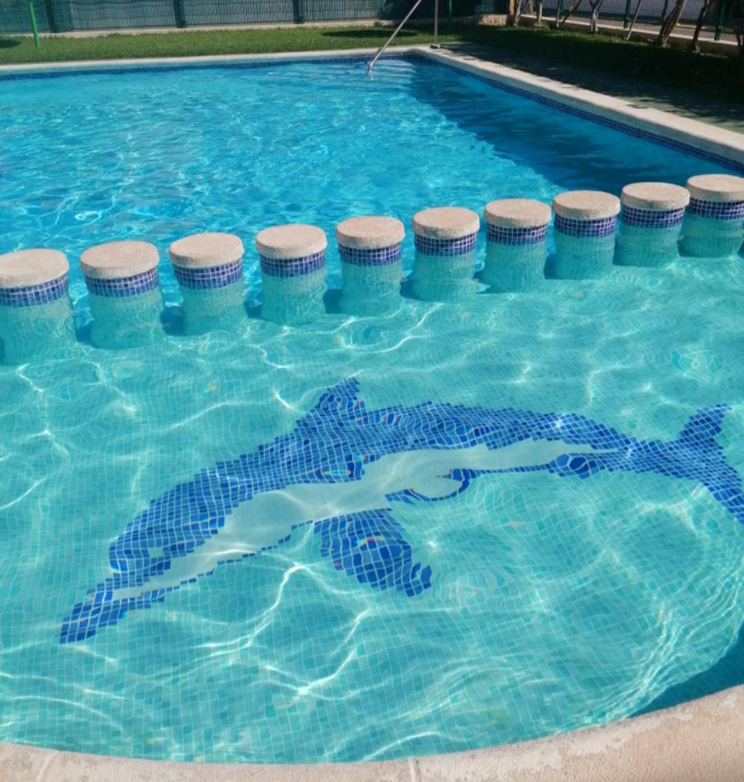 Apartament Casa Del Gato Rojo , Communal Swimming Pool , Terrace With Barbecue Torrevieja Eksteriør bilde